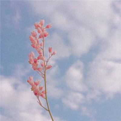 港澳宝典最新版66039特色