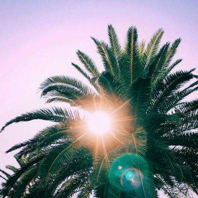 9uu有你有我.知矣