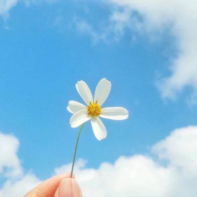 9uu有你有我.知矣