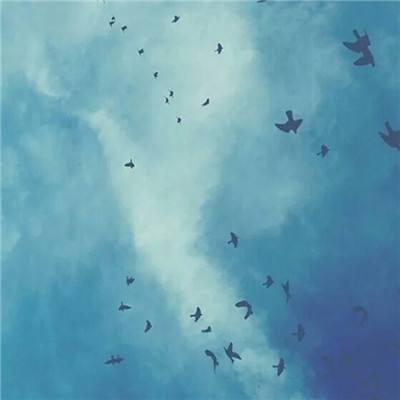 9uu有你有我.知矣截图