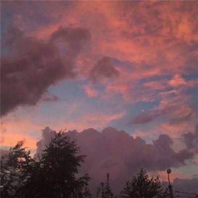 武林外传:勇夺金掌柜