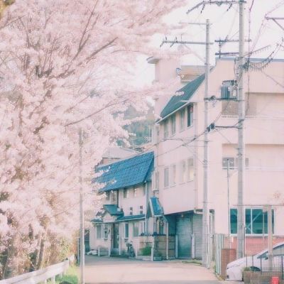 怪物拉力越野卡车