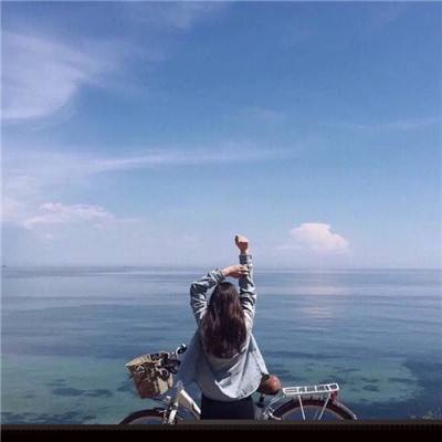 修理机械火焰三角龙