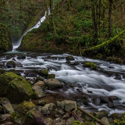 组装机械蛇颈龙