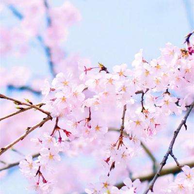 你是网购达人吗